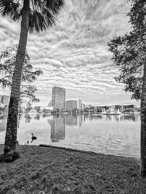 BW Orlando Photos by Leonidas Bratini Photography