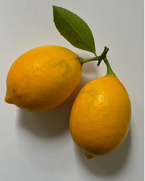 Several image of different citrus fruits like lemons, oranges, meyer lemons, and sumo mandarins