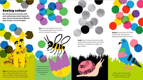How Colour Works by Catherine Barr, illustrated by Yuliya Gwilym