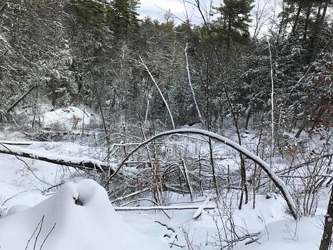 Winter trails in Chelsea Quebec