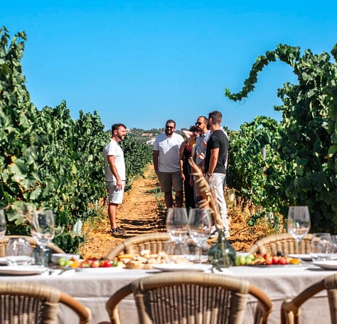 winery, vineyard, wine tasting, Algarve