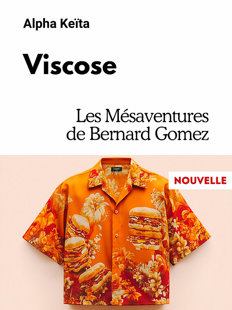 Série : Les Mésaventures de Bernard Gomez