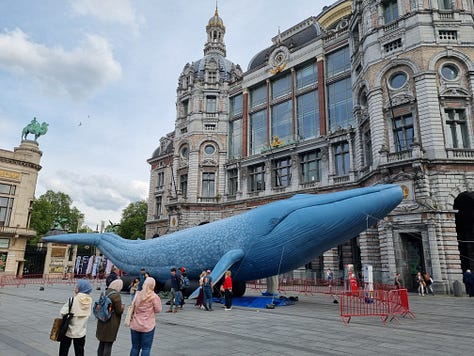 Photo 1: Dave appreciating dill chips. Photo 2: Aisling in front of an LED wings and halo. Photo 3: Dave reading a been menu. Photo 4: Image of Australia on the walls of the Antwerp Bourse. Photo 5: an inflatable blue whale in front of the Antwerp train station. Photo 6: Aisling grinning while holding a waffle. Photo 7: Dave holding two suitcases and two backpacks at Bruges station. Photo 8: Aisling lying on a pink bed interactive exhibit at the Moco museum. Photo 9: Aisling presenting a fountain with animals drinking from different beer cans in Utrecht.