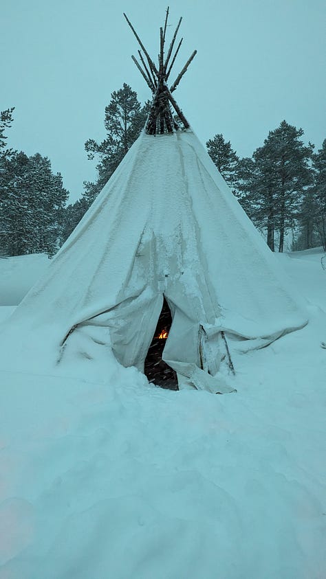 Images showing a red-haired woman in a blue snowsuit crouching and feeding white and brown reindeer. One shows a white Lavvu tent, it's internal fire glowing through the entrance.