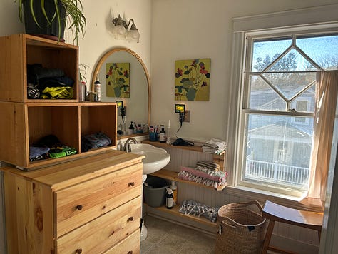diy, back yard farming, composting, bathroom makeover, cleaning, organizing, gardening, permaculture