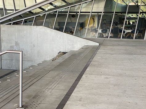 Homeless. Welcome to Strasbourg, to Paris, to Toulouse and Lyon.