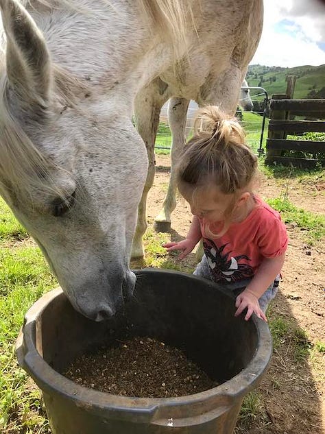 Omen sharing his dinner with Alaska.