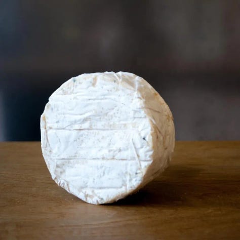 Finn Cheese