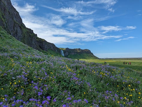 guided tour of iceland