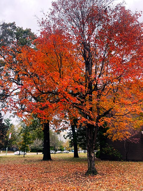 Campus view