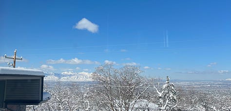 Bluebird Day