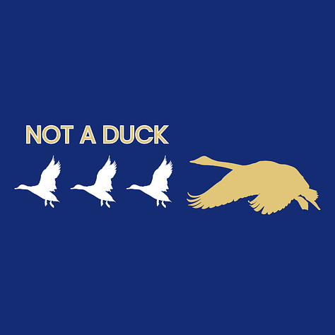 Autism affirming stickers designs: “My thoughts are numerous and intense,” written over a blue background with doodle graphics. “Bread” written in the middle of pieces of bread, which are laid out in columns and rows. “Not a duck” written over an image of three ducks flying, followed by one swan which is depicted in gold.