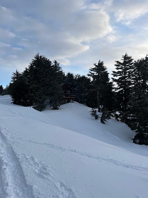 Photos from my recent cabin trip near Seward, Alaska.