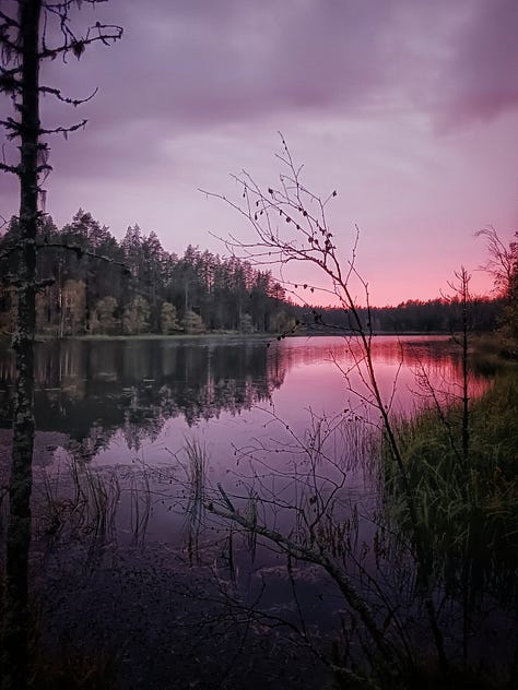 Rokuan kansallispuisto Pitkäjärvi
