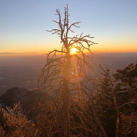 The author with an enormous smile in everything she's doing: waking up with a pair of sweet pitbulls, overlooking a glowing desert sunset from a snowy mountaintop, hugging a bundled man in a black face cover, hiding skulls inside Christmas yuccas, and playing in Harley Quinn's Daddy's Little Monster t-shirt.