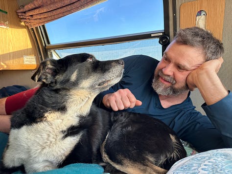 Photos of Liz, Seth, and the dogs in Baja