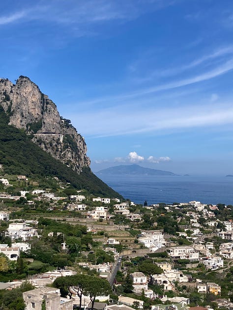 images of the Italian countryside, coastline, cityscape, art, and architecture, and a photo of the author.