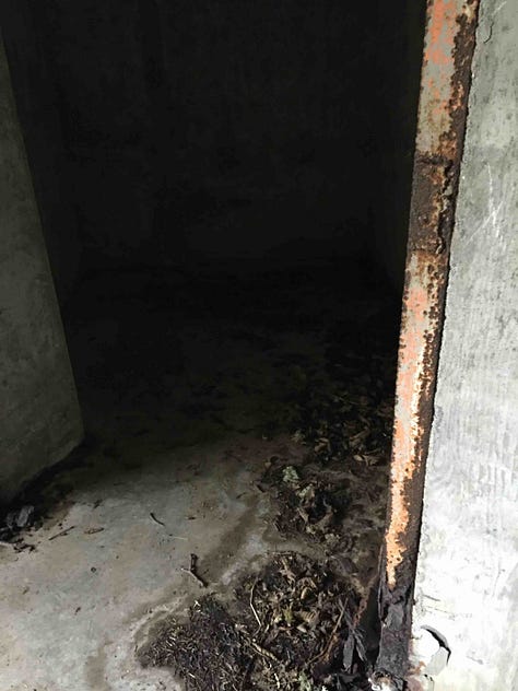 rusted doors and damp hallways