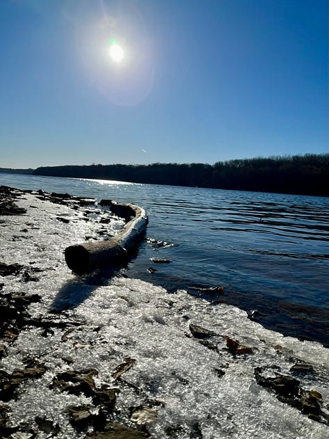 Ice and leaves on icy water