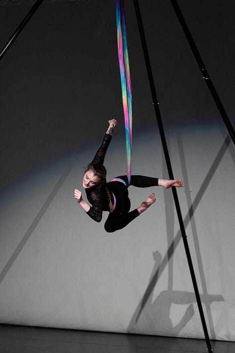 Photographs of dance, singing and aerial performances.