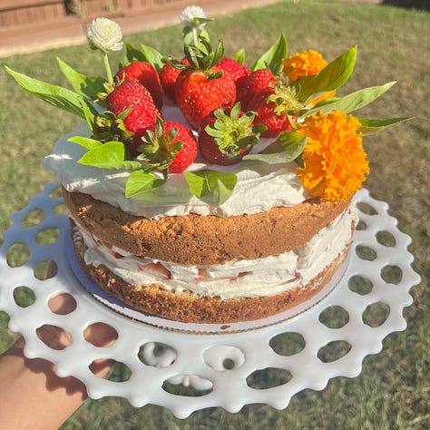 Slice of cake and strawberry shortcake