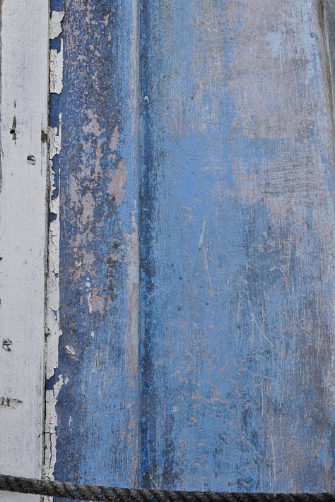 A 3 by 3 grid of photographs. From right to left: top row; peeling blue paint on something wooden, large muscles tied up in a dark blue plastic netting, a small boat with a blue base and cartoon dolphin on the side, reflecting in the water. Middle row: the blue sky with a seagull spreading its wings, a upwards shot of a blue panelled building, an alleyway with the graffiti of blue wings. Bottom row: A blue door on a pale blue house, a building with lots of windows reflecting the blue of the sky, a row of fish on ice in blue plastic boxes stacked up on top of one another.