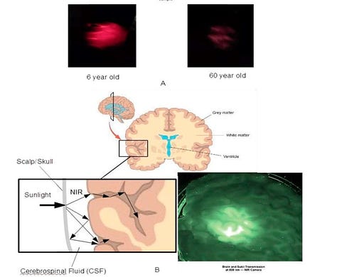 Glymphatic and CSF infrared healing