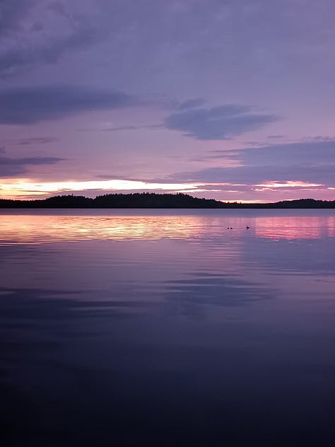 Kurjenrahkan kansallispuisto
