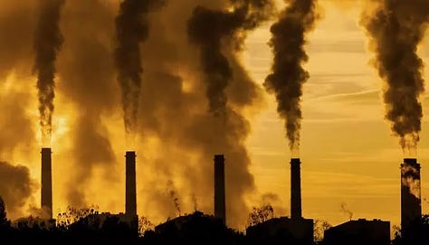 A felled giant sequoia, a mountain of bison skulls, and a row of smokestacks