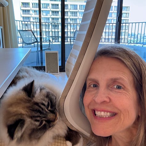 A collage of photos a woman and her two cats, one white and the other tabby