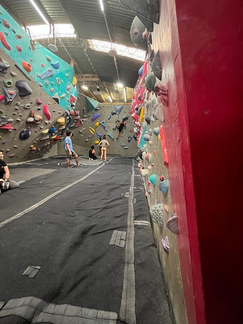 Fall colors by my yoga studio, my mate gourd, and my climbing gym!