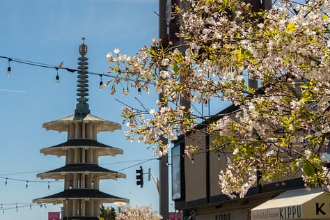 Cherry Blossom festival in Japantown - Long leisurely walk to Palace of Fine Arts to cap the weekend! Selfies by Jeff Boyle other photos Amy Boyle