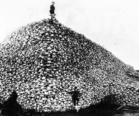 A felled giant sequoia, a mountain of bison skulls, and a row of smokestacks