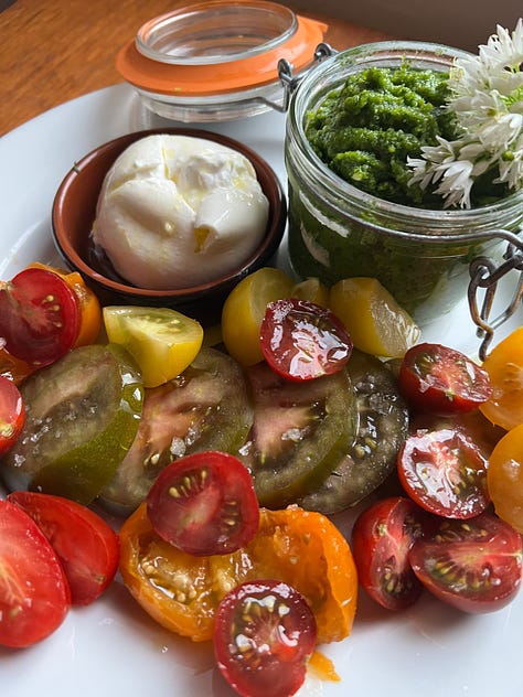 Peaches in yoghurt with mint, yoghurt mint, pomegranates, prosciutto necatarine salad, broccoli salad, tomato salad with burrata, heirloom tomatoes 