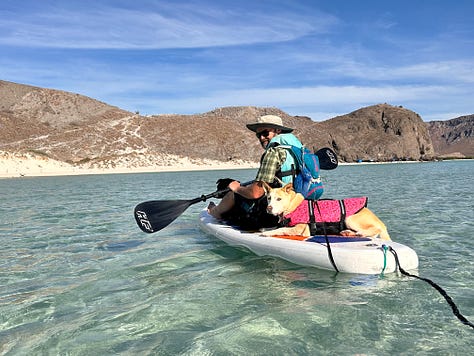 Photos of Liz, Seth, and the dogs in Baja