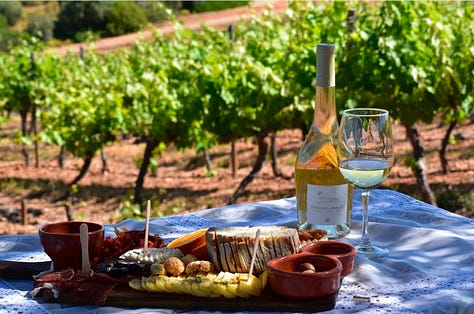 Vineyards, winery, Algarve, Convento do Paraiso