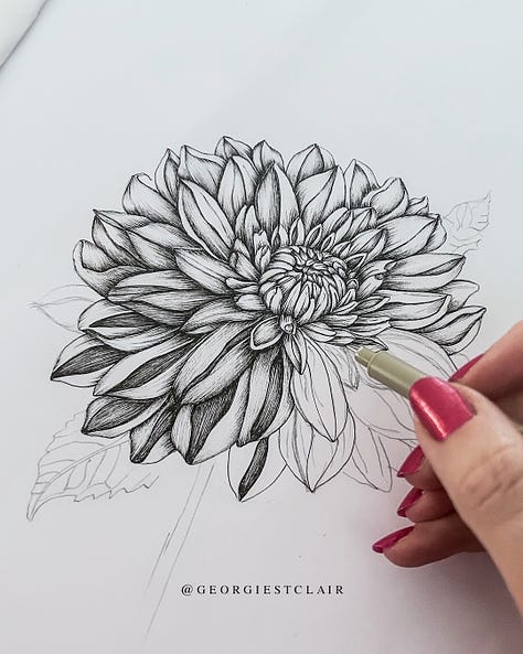 Dahlia fineliner drawing 