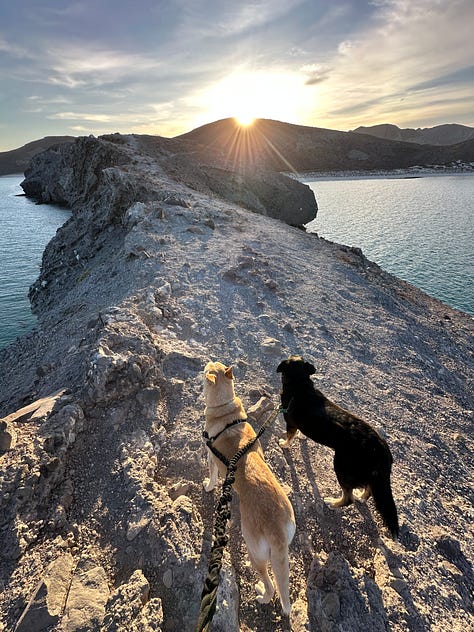 Photos from Baja, Mexico