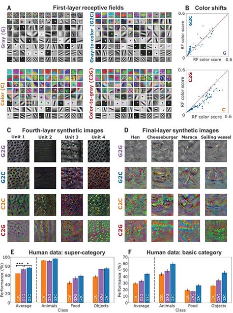 Impact of Early Visual Experience On Later Usage of Color Cues