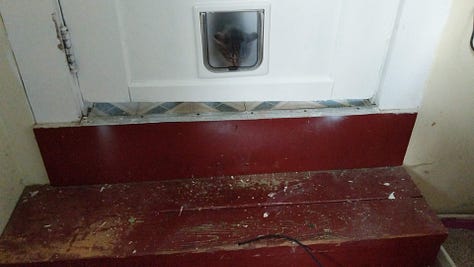 Using the cat door