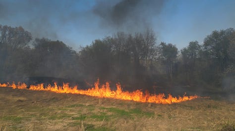 Fire burns in an open grass field, photo of fire and smoke from above, a person in orange jumpsuit walks up a blackened hill