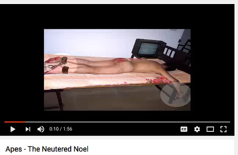 Disturbing images, some depicting torture, in this Amanda Kleinmans video