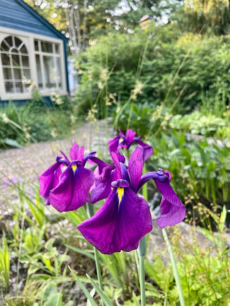 Gardens at Havenwood: the Long Border, the Entry Garden, the Pond & Potting Shed, St Francis' Garden, the Cottage Garden, and the Kitchen Garden. 2024