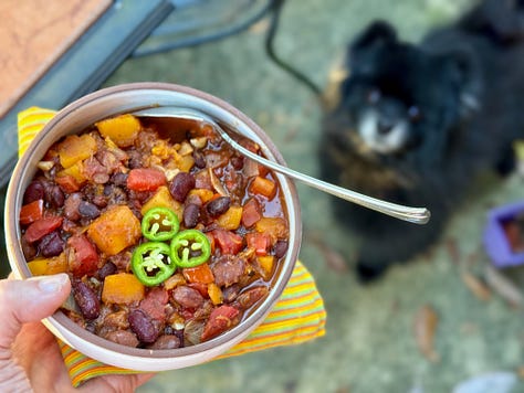 Butternut squash chili with hungry pomeranians