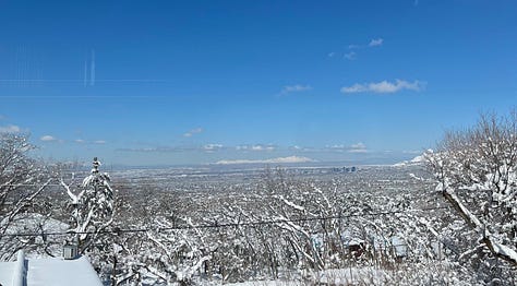 Bluebird Day