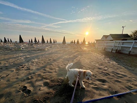 Top L to R: Polpo e patate, Milano Marittima sunrise, time to stop for a Piadina, the cutest little piadina shack, corbezzolo (strawberry tree), at the thermal baths, piadina makers, spaghetti alle vongole, moonrise at the beach