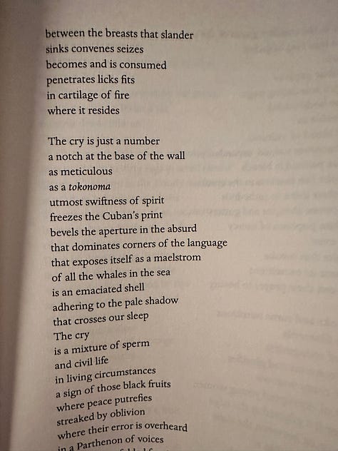 The cover of María Baranda's Nightmare Running on a Meadow of Absolute Light followed by the first five pages of her poem "To Hell," which starts with the lines, "A cry."