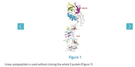 Highly Effective COVID-19 Vaccine Using Linked Immunodominant Linear Peptides from SARS-CoV2