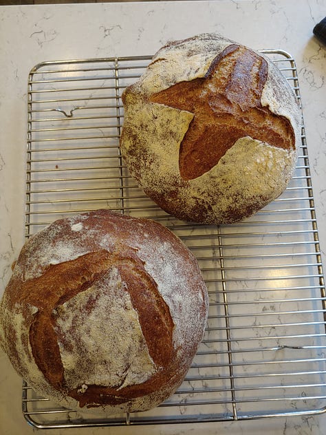 Image description: loaves of bread. They all look pretty good. But they could be better.