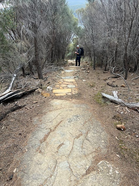 Day four on The Three Capes Signature Walk - a climb up Mt Fortescue